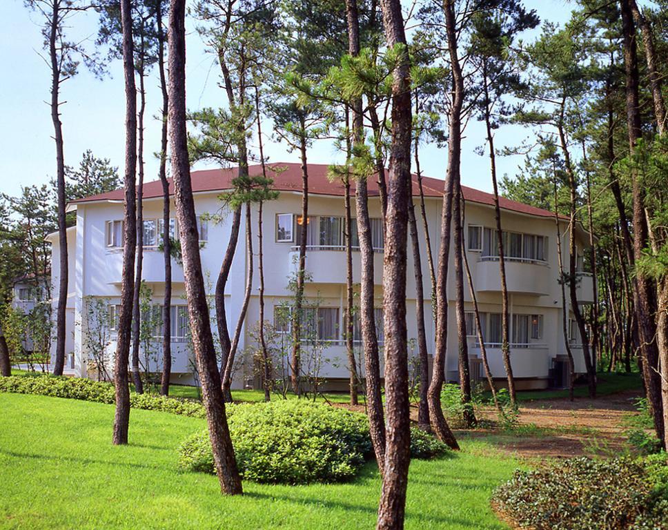 Cottage Himuka Miyazaki Zimmer foto
